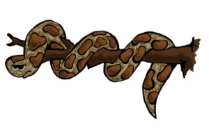 Powerful pythons pervade peninsula