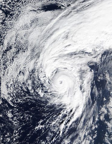 (Not) looking forward to the hurricane season