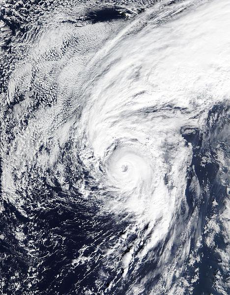Januarys Hurricane Alex heads towards the Azores in a Jan. 14 satellite photograph.