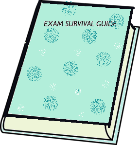 Sheas Declassified Exam Survival Guide
