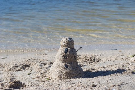 Surviving the not-so-snowy season