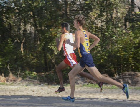 Running for a dynasty: Trinity Prep cross country finishes top three at state meet