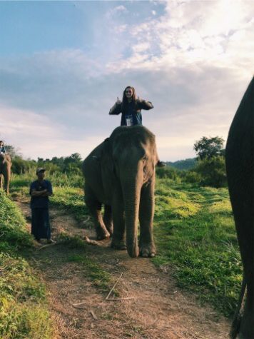 Oh, the places she goes! Sophomore tracks her travels on Instagram
