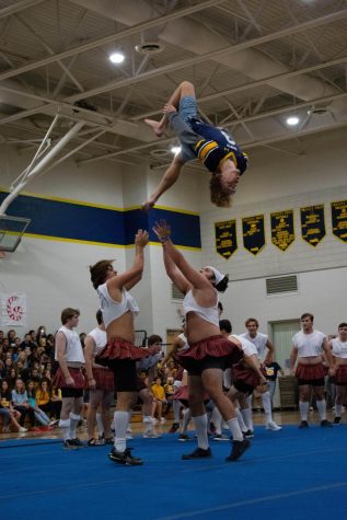 Cutoff on Powderpuff: Powderpuff faces new safety regulations and rules regarding performance content
