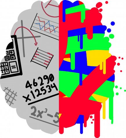 Debunking the Myth: Left vs. Right Brain