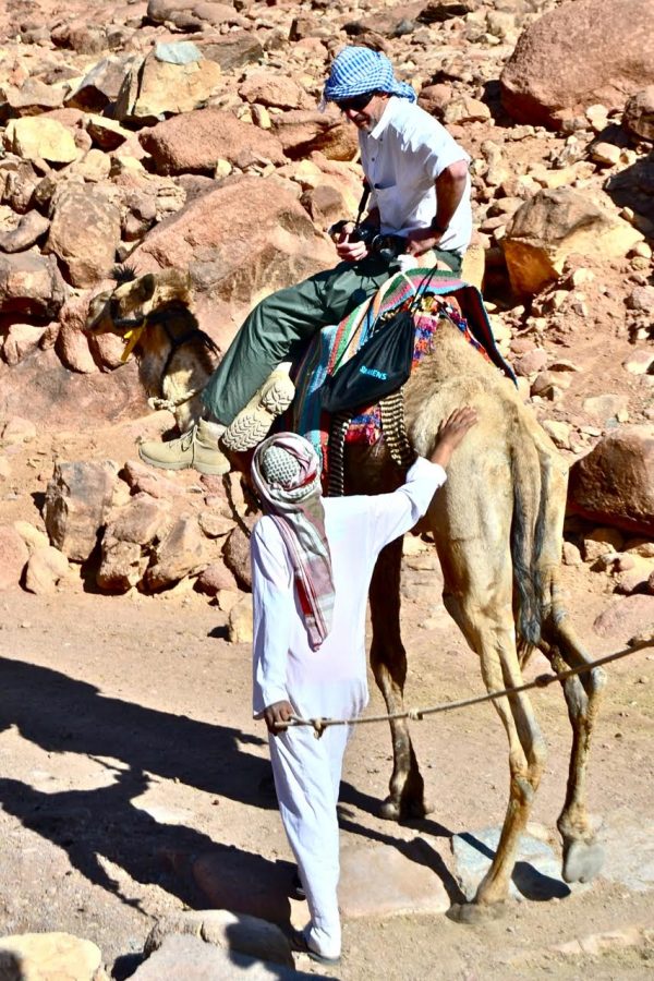 Michael B. Tóth travels on the back of a camel around the base of Mt. Sinai in Egypt, where Tóth recovers palimpsests. 