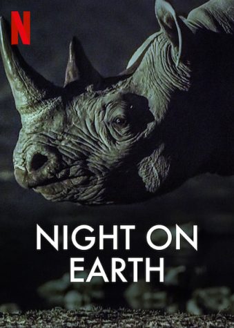 Nature Documentary Captures Earth’s Wildlife in a New Light