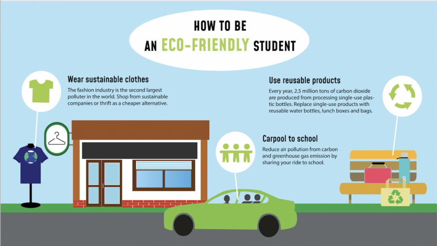 Sustainability doesnt have to be limited to the home. There are many simple ways to be environmentally friendly at school, too.