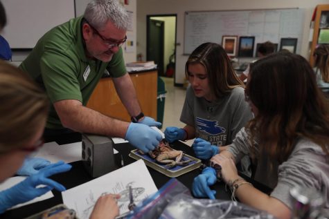 Dr. Meyer assists students with their frog dissection in his Honors Anatomy class.