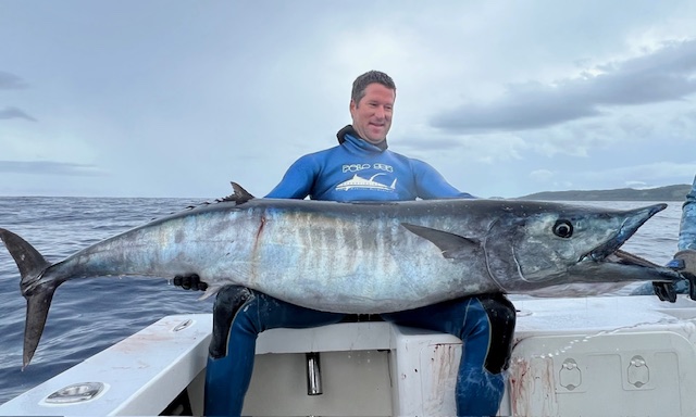 World record spearfisherman and guide Cameron Kirkconnell speared this 100+lb wahoo in the South Pacific in 2021.