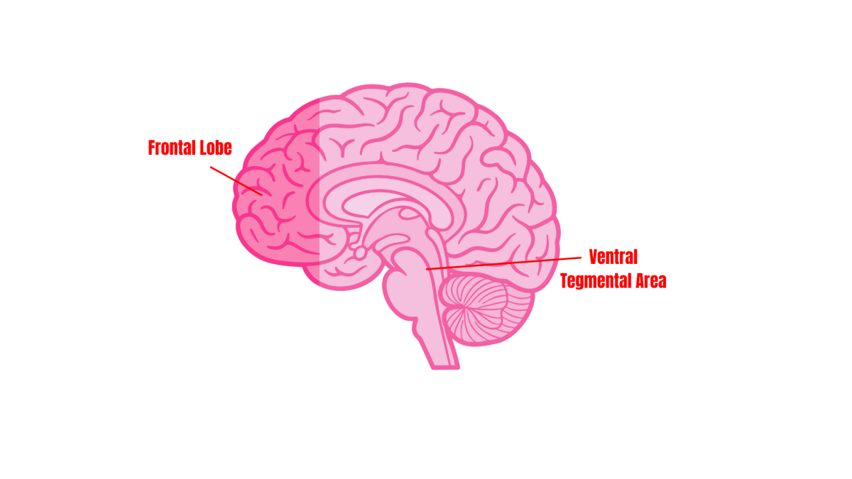 Love on the Brain